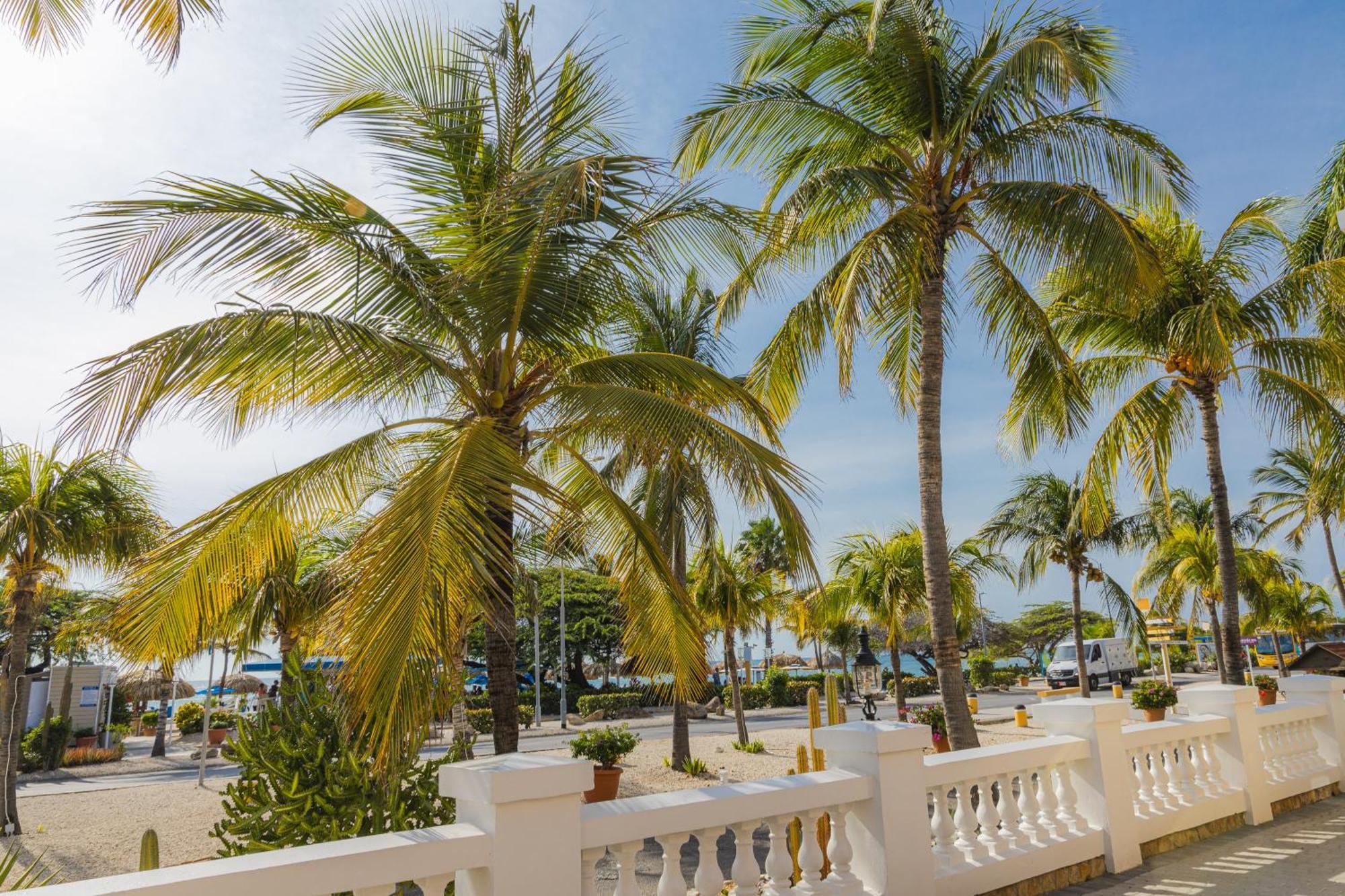 Amsterdam Manor Beach Resort Palm Beach Exterior foto